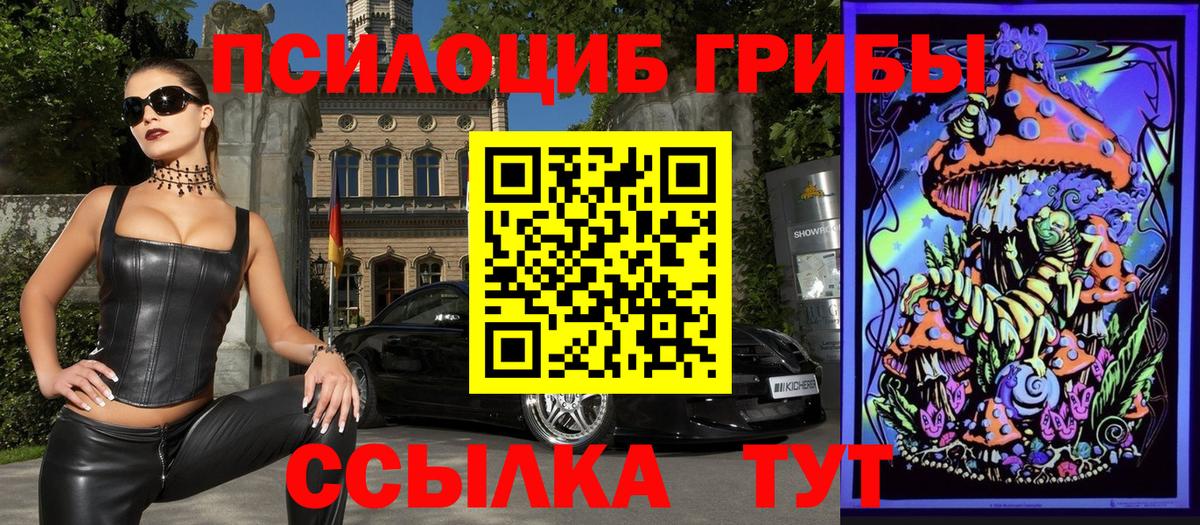 купить наркоту  Вход с VPN  Альметьевск  Галлюциногенные грибы Psilocybe 